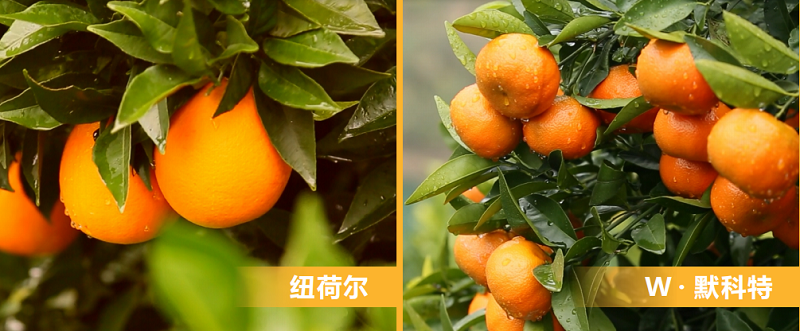 1701934108688138.png 圖片4.png