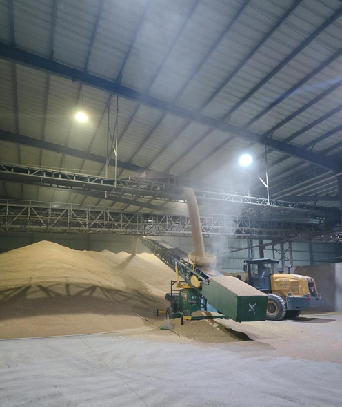 1721979792676259.png 圖片8.png