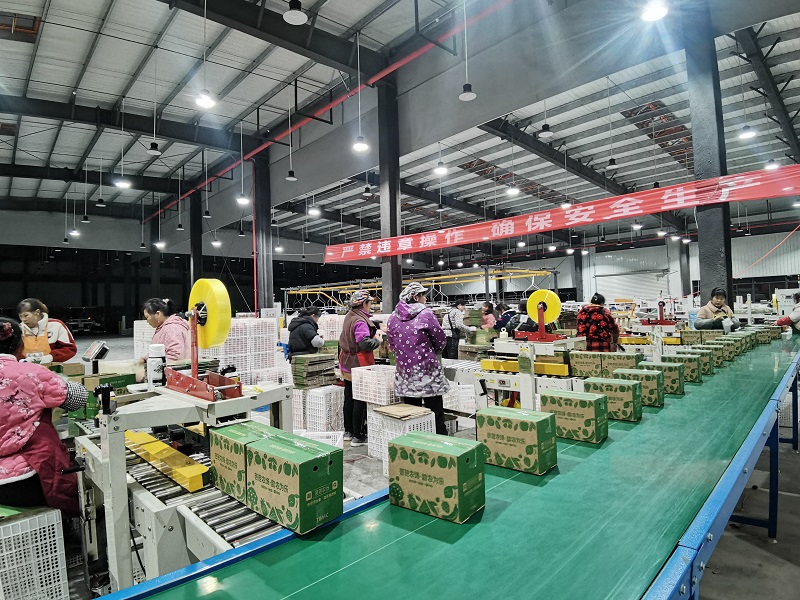 1741317402845313.jpg 微信圖片_20250306101137.jpg