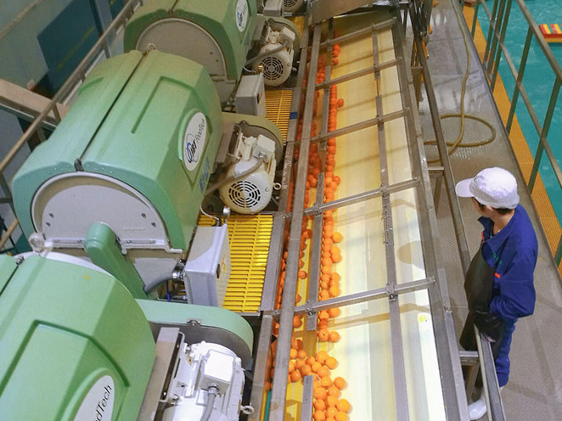 1744872845973976.png 圖片10.png